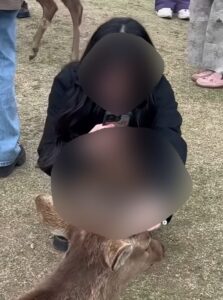 奈良公園 シカ 盗撮 YouTubeチャンネル