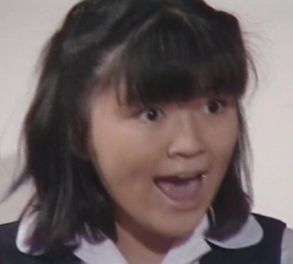 藤島ジュリー景子 若い頃 金八先生